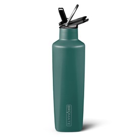 BrüMate ReHydration Mini Kids Water Bottle | 100% Leakproof Insulated Water Bottle for Kids with Straw | Stainless Steel Water Canteen | Perfect Kids Water Bottle for School | 16oz (Matte Hunter)