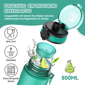 Luyiilo Children's Leak-Proof Drinking Bottle, 500 ml, BPA-Free, with Fruit Insert, Suitable for Carbonated Drinks, Perfect for School, Kindergarten, Sports (Green)