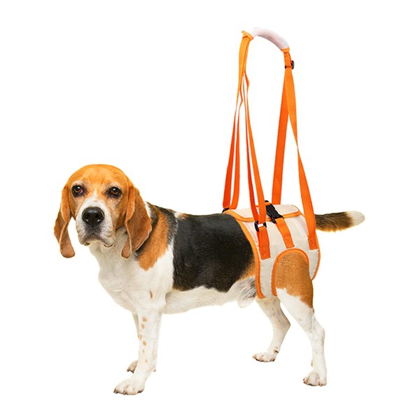 Myiosus Dog Support Harness for the Hind Legs - Dog Lifting Harness, Carry Strap Help Dogs with Weak Hind Legs, Carrying Aid Dog Stairs, for Injured Disabled Small and Medium Dogs