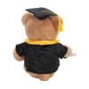 With Heart Medium Graduation Bear Plush Toy with Scroll, 24