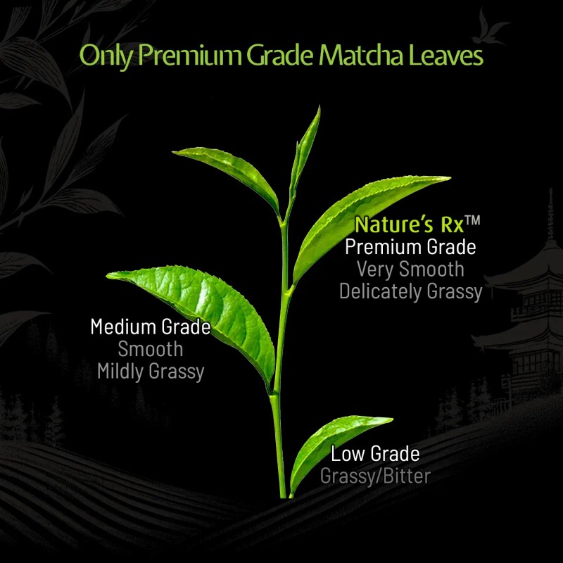 Natures Rx Organic Matcha Green Tea Powder Premium Grade 100g