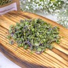 SeedsUP - 500+ Seeds Thyme - Herb Green