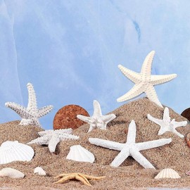 Junfamilee 1Pc White Resin Ocean Beach Starfish Natural Seashell Starfish Ornaments for Wedding Decor Beach Theme Party Home DIY Craft Fish Tank Holiday Decoration, Vase Filler, Home and Kitchen