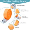 Pack of 10 lashing straps, lashing straps, 25 mm x