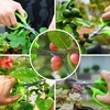 Garden Scissors, 2pcs 6in Pruning Shears Snips Non-stick Coated Sharp