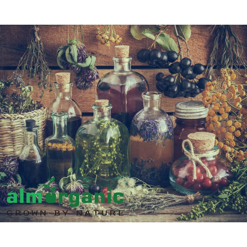 Herbal Tea for Breathing & Lung Wellness | Soothing Herbal