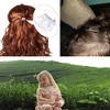 100pcs 1cm clear Mini Hair Claw Clips Plastic Claws Pins