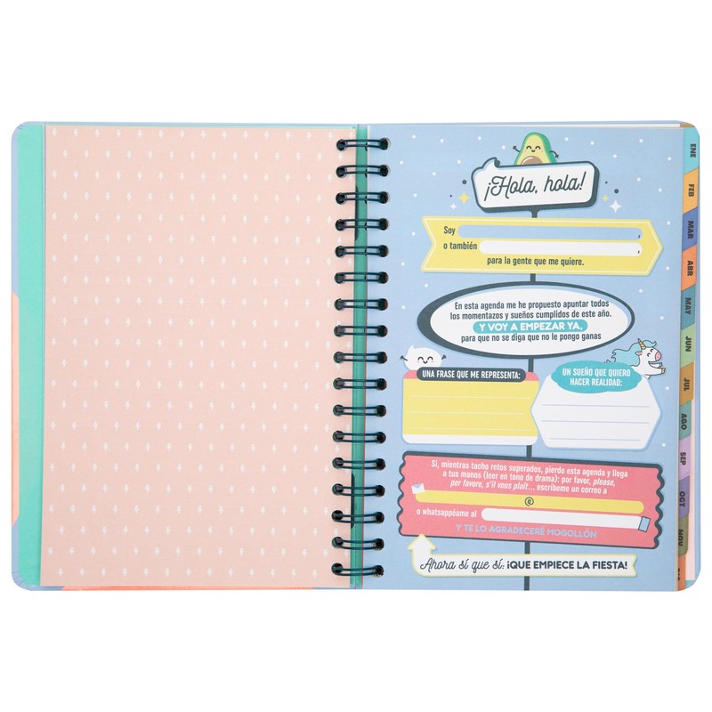 Mr. Wonderful Wonder 2025 Week to View Diary with 8