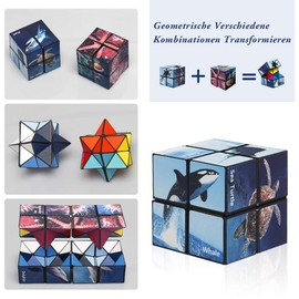 Euclidic Cube Star Cube, Magic Cube Set, Transforming Cubes, Magic Puzzle Cubes for Children and Adults