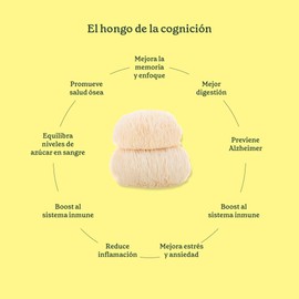 Commons Lion´s Mane - Extracto puro de Melena de León en Polvo 100g 100% Orgánico Función cerebral, memoria y enfoque