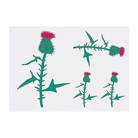 Azeeda 4 x 'Distel' Temporäre Tattoos - Wasserfest, Hautfreundlich & Ungiftig · Transfers in Verschiedenen Größen (TO00062096)