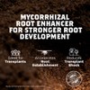 DYNOMYCO Granular Mycorrhizal Fungi Inoculant, 340g / 12oz – Boosts