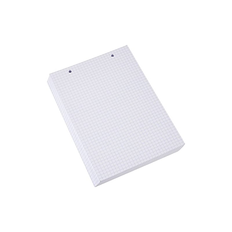 Exacompta - Ref 10608E - Bristol Squared & Punched Record