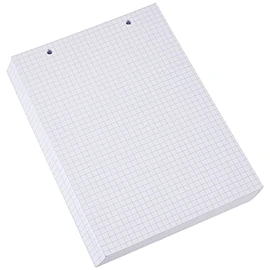 Exacompta - Ref 10608E - Bristol Squared & Punched Record Cards (Pack of 100) - A5 in Size, 205gsm Card, Compatible with Printers - Suitable for Exam Revision & Notes - White