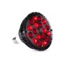 DS Picnic Red Light Therapy Lamp 54 W 18 LED