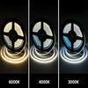 FCOB COB LED Strip Flexible High Density Cool White 6000K