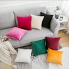 Douceur De Plumes Set of 2 Velvet Cushion Covers 40