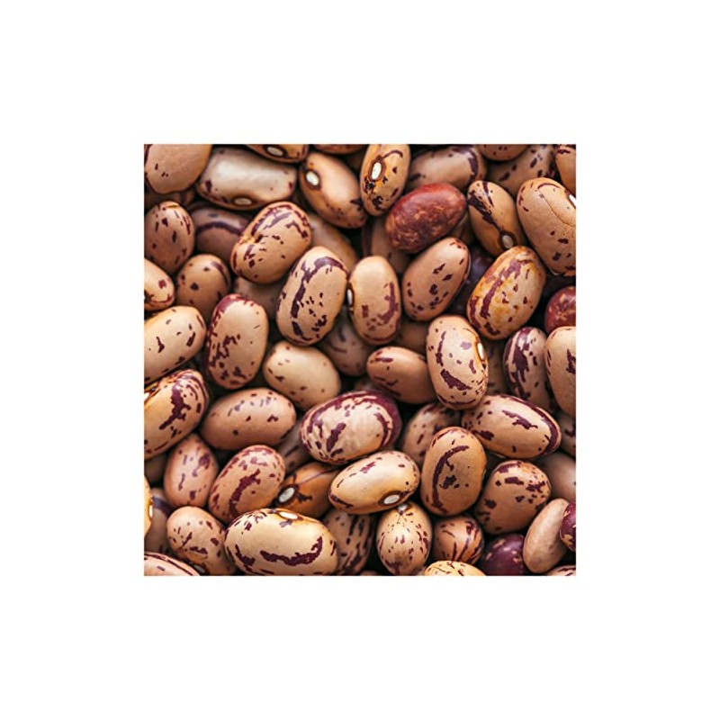 Everwilde Farms - 1 Lb Pinto Dry Bean Seeds -