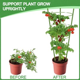 KLS 3 Pack Tomato Cage for Pots Tomato Plant Support, 48 Inches Tomato Cages for Garden Cucumber Trellis for Raised Bed, Pepper Cage Tomato Trellis Kit with Plant Tie Tomato Clips (48")