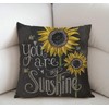 Swono You are My Sunshine Quote Throw Pillow Case Cushion