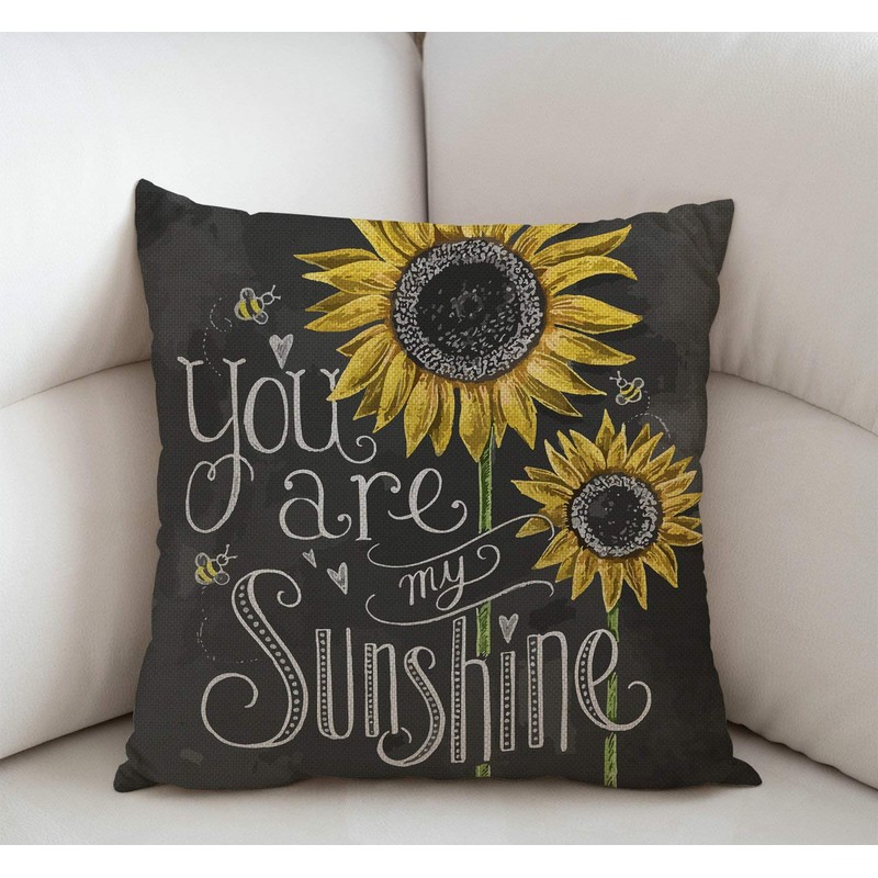 Swono You are My Sunshine Quote Throw Pillow Case Cushion