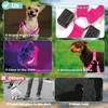 Light Up Dog Harness & Leash with 3 Light Modes