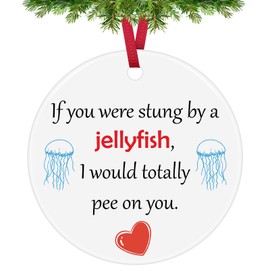 Christmas Ornaments Funny Friendship Gifts Jellyfish Lovers Gifts for Friends Sister Brother Cousin Coworker Christmas Birthday Gifts True Friends Gifts Ceramic Hanging Ornament