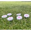 6-Pack Daisy Flower Drawer Knobs – White & Pink Decorative