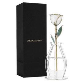 Forever Rose Bloom Box Bundle, 24K Gold Dipped White Pearl Rose, The June Birthstone, Real 24k Gold Dipped Rose, Hand Dipped, 11" to 12" in a Beautiful Phantom Vase and Blooming Box
