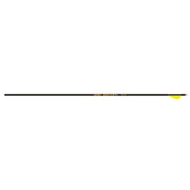 Gold Tip Hunter PRO Arrows with 2-Inch Raptor Vanes (1-Dozen), 300