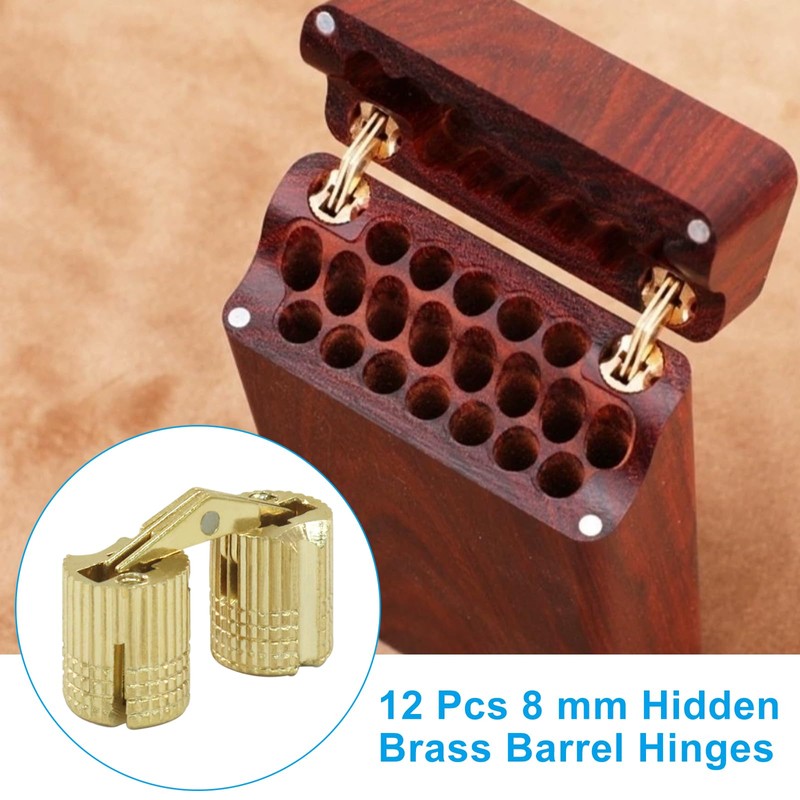 LifCratms 12 Pack 8 mm Hidden Brass Barrel Hinges, Furniture