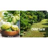 CHAVI Noni Tea (Noni, Pack of 1) | 20 Tea