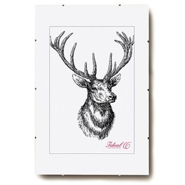 Rahmenlos Picture frame, picture holder, clip frame, plastic, glass, 40x50