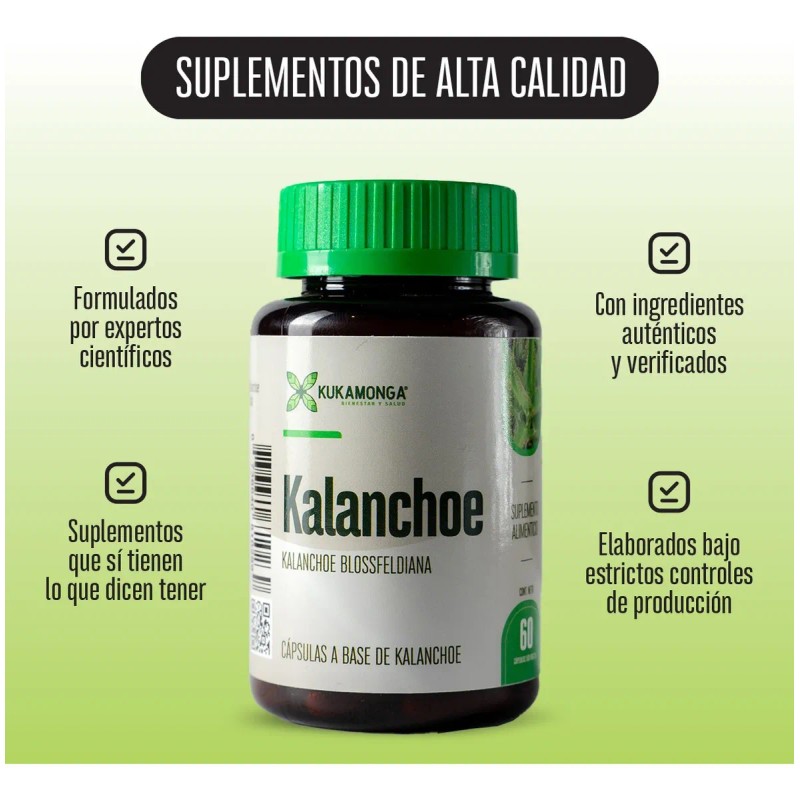 Castao De Indias Kalanchoe 60 Cps Bienestar De Piernas Sin