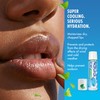Mentholatum Natural Ice Lip Balm Original SPF 15 1 Each