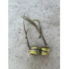 Sugarcane 2pcs Sugarcane Cutting Tropical Live Plant Ready To Plant