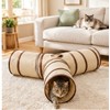 Collapsible Cat Tunnel for Indoor Cats - Foldable Play Tube