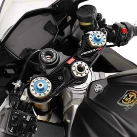 labelbike - 3D Sticker Protection Fork Plate Steering Compatible with Aprilia RSV4 1100 and RSV4 Factory 2021-2022