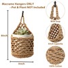 VMEECARL 4-Pack 5-Inch Macrame Wall Plant Hangers, Natural Cotton Hanging