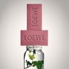 Loewe Ivy Scented Soap Duo Set (125g2) Pink / 로에베