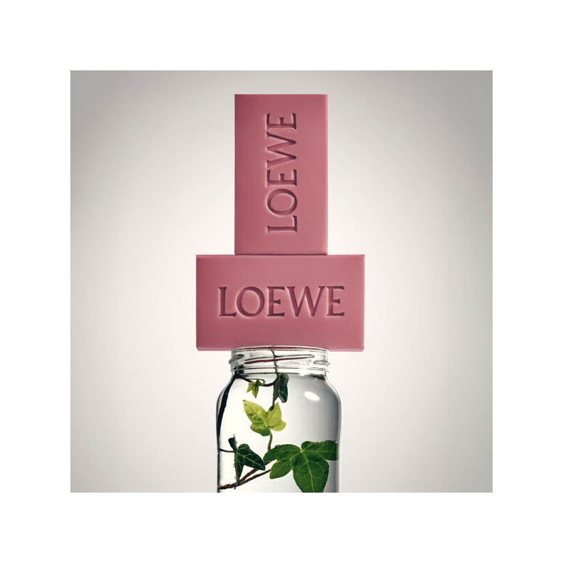 Loewe Ivy Scented Soap Duo Set (125g2) Pink / 로에베