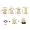 120 Set Brass Chicago Screws Binding Screws, 4 Sizes Screws
