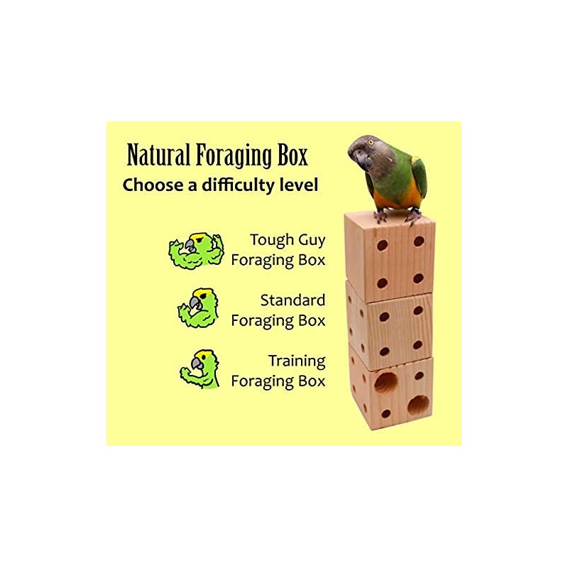Natural Foraging Box Toy for Parrots (Training Foraging Box)