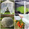 10 X 50FT Garden Mesh Netting Barrier,Fruit Tree Plant Netting