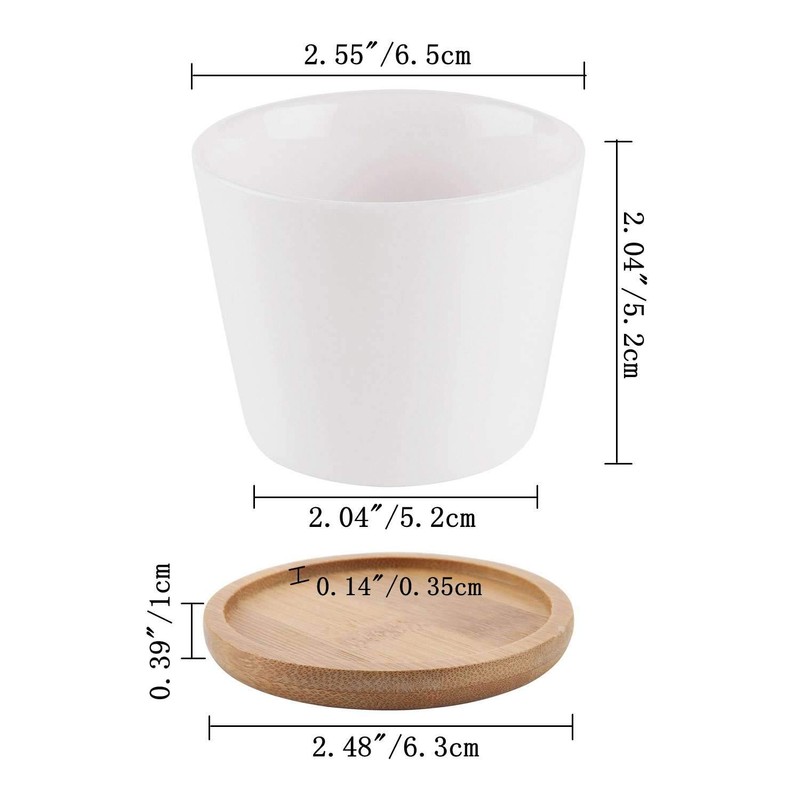 T4U Succulent Planters, Pots with Bamboo Saucers, Rectangular Ceramic Cactus