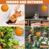 Osseph Fruit Fly Traps Ball Fly Trap Indoor, 6 PCS