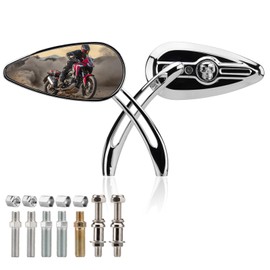 RIDLOG Universal Motorcycle Skull Teardrop Rearview Side Mirrors, 8mm & 10mm Rearview Mirrors Fit for Harley Honda Yamaha, Softail, Dyna, Sportster, XL 883 1200 (Chrome)