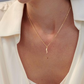 HANLI Trendy Gold Chili Pendant Necklaces for Women - Dainty 14K Gold Plated Charm Necklaces Jewelry Simple Womens Necklace