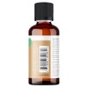 Viva Doria Ginger Essential Oil, USDA Certified, Organic Ginger Oil,