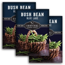 Survival Garden Seeds - Blue Lake Bush Bean Seed for Planting - 3 Packets with Instructions to Plant & Grow Green Stringless Snap Beans in Your Home Vegetable Garden - Non-GMO Heirloom Variety